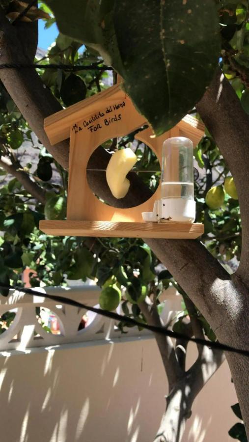 فيلا La Casita Del Horno Vv Mogán المظهر الخارجي الصورة